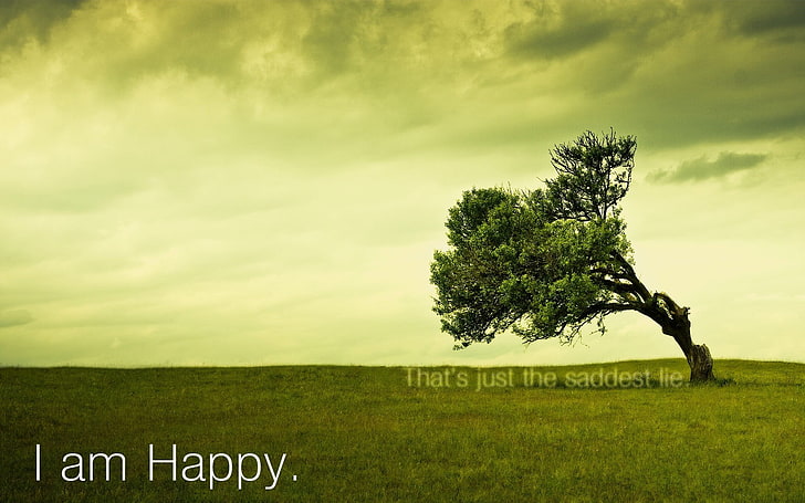 green leafed tree with i am happy text overlay, happy, trees, HD wallpaper