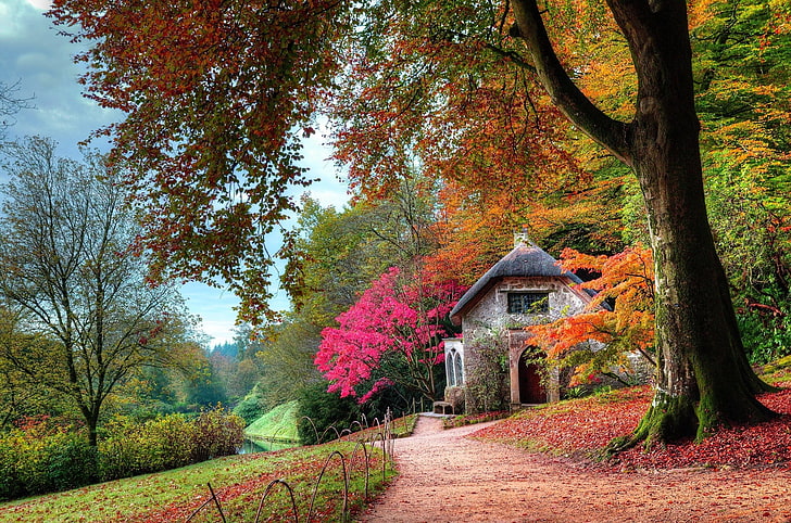 灰色の家と木、木に囲まれた灰色のコンクリート構造、秋、庭、コテージ、葉、木、低木、ピンク、緑、オレンジ、パス、苔、自然、風景、未舗装の道路、 HDデスクトップの壁紙