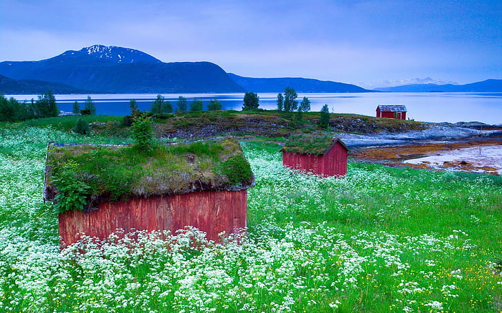 paisaje, paisajes nórdicos, cabaña, montañas, flores, Fondo de pantalla HD