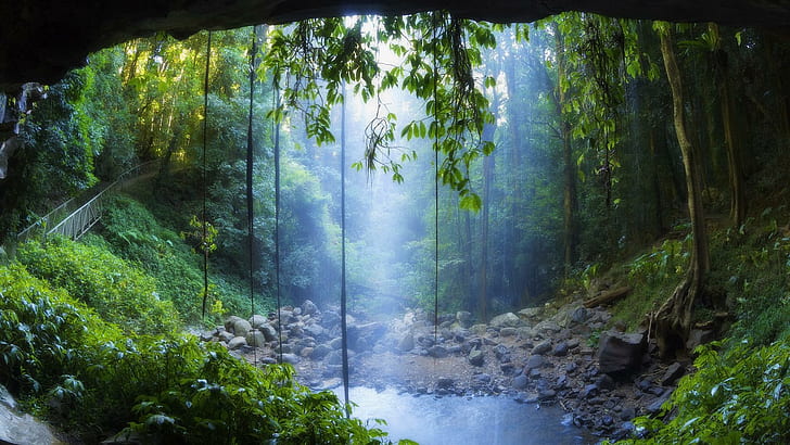Local incrível em uma floresta tropical, selva, videiras, ponte, piscina, natureza e paisagens, HD papel de parede