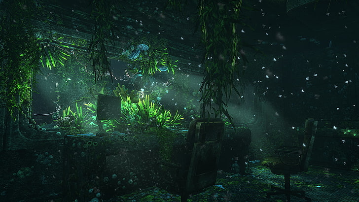 نبات الورقة الخضراء ، سوما ، ألعاب الفيديو ، تحت الماء، خلفية HD