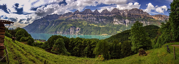 Декорации пейзаж, деревья, горы, озеро, Швейцария, Альпы, луг, панорама, Валензее, Валензее, Озеро Вален, HD обои