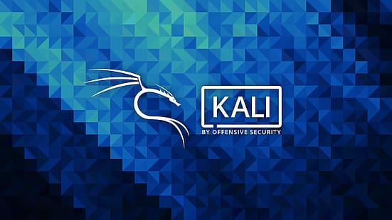 Kali Linux, Backtrack Linux, Linux, Sfondo HD HD wallpaper