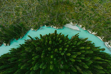 campo di erba verde, natura, paesaggio, drone, veduta aerea, alberi, fiume, Sfondo HD HD wallpaper