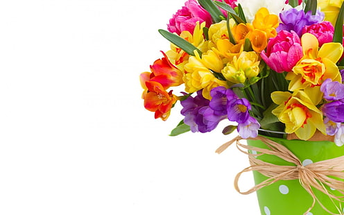 Bouquet de jonquilles et freesias, jonquilles, sias, printemps, bouquet, Fond d'écran HD HD wallpaper