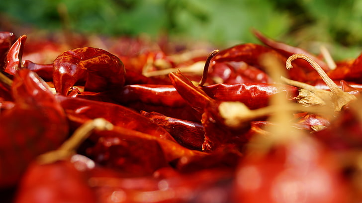 red, chilli peppers, spices, HD wallpaper