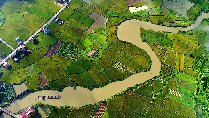 aerial view, landscape, river, road, flood, house, field, Vietnam, green, HD wallpaper