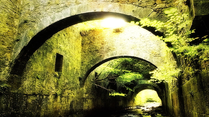 brown stone archway, medieval, bridge, stones, green, nature, plants, water, HD wallpaper