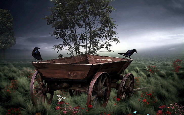 عربة حصان خشبية بنية ، عتيقة ، عمل فني ، مركبة ، طيور ، طبيعة ، منظر طبيعي، خلفية HD