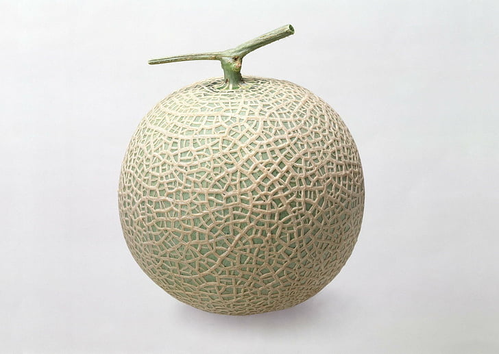 Fruits, Melon, HD wallpaper