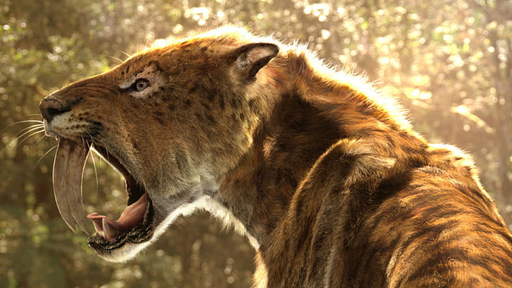 Fantasy, Creature, Saber-Toothed Tiger, HD wallpaper