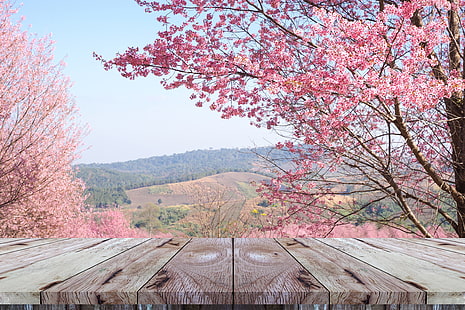 ramas, primavera, Sakura, floración, rosa, flor, cereza, floración, Fondo de pantalla HD HD wallpaper