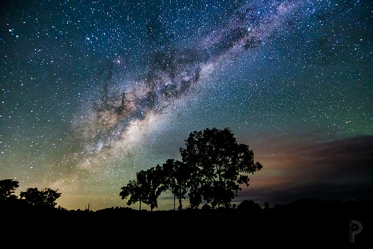 ภาพถ่ายของต้นไม้เงาภายใต้คืนที่เต็มไปด้วยดวงดาว, สิ่งมหัศจรรย์, ของกลางคืน, ท้องฟ้ายามค่ำ, ภาพถ่าย, ภาพเงา, ต้นไม้, คืนดาว, ท้องฟ้ายามค่ำ, การถ่ายภาพดาราศาสตร์, แคนนอนออสเตรเลีย, ควีนส์แลนด์, ทะเลสาบ, 6d, การถ่ายภาพ, บริสเบน, ดาราศาสตร์, ดาว - อวกาศ, กาแลคซี, ทางช้างเผือก, กลางคืน, กลุ่มดาว, เนบิวลา, ธรรมชาติ, อวกาศ, ท้องฟ้า, ภูมิทัศน์, วิทยาศาสตร์, วอลล์เปเปอร์ HD