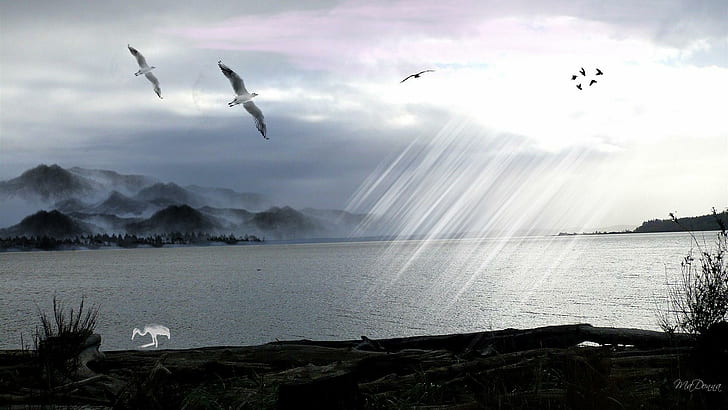 Isl Beyond, Wasser, Vögel, Berge, Breitbild, Ufer, Wolken, 3d und abstrakt, HD-Hintergrundbild