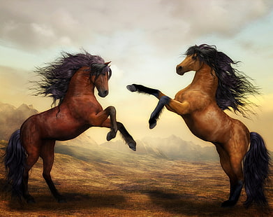 Dua Pertempuran Kuda Cantik, dua lukisan kuda, Hewan, Kuda, Cantik, Lansekap, Liar, Wallpaper HD HD wallpaper