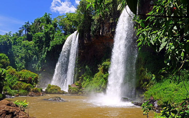 Wasserfälle und Pflanzen, Dschungel, Wasserfall, Natur, HD-Hintergrundbild