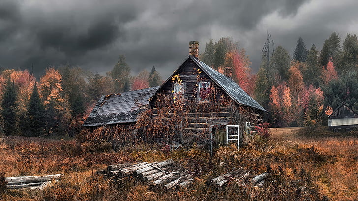 Altes Haus, Herbst, Wald, Alt, Haus, Herbst, Wald, HD-Hintergrundbild