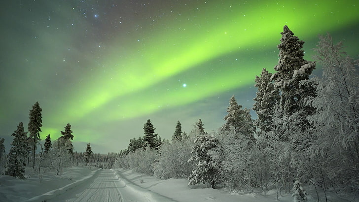 nature, vert, aurore, hiver, ciel, pin, gel, arbre, phénomène, neige, laponie, paysage, finlande, nuit, Fond d'écran HD