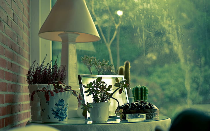Angolo tranquillo della casa, casa, pace, armonia, finestra, angolo, pioggia, lampada, fiori, 3d e astratto, Sfondo HD