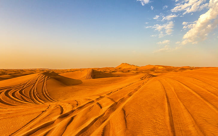 paysage, désert, sable, dunes, dunes de sable, Fond d'écran HD