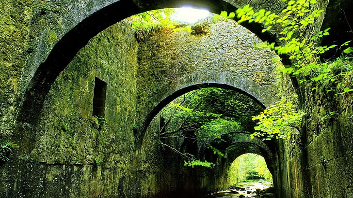 green leafed plant, architecture, building, trees, bridge, river, arch, rock, sunlight, moss, HD wallpaper