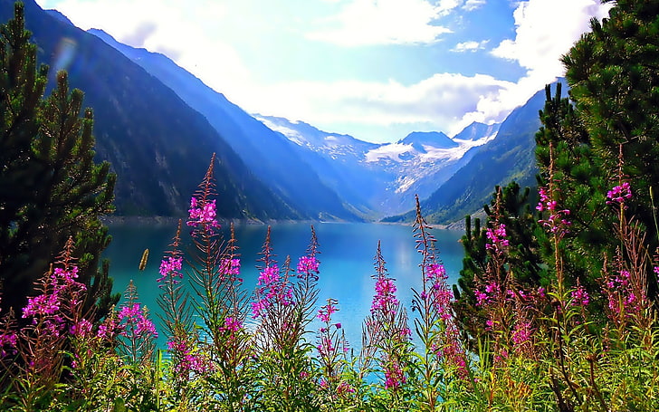 Bela natureza montanha lago flores grátis hd wallpaper, HD papel de parede