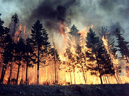 пожар, гора, горски пожар, HD тапет HD wallpaper