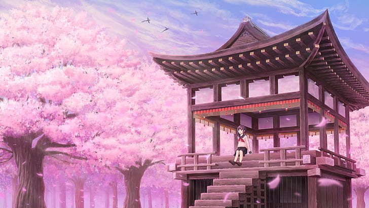 Anime, oryginał, Cherry Tree, Girl, Sakura, Tapety HD