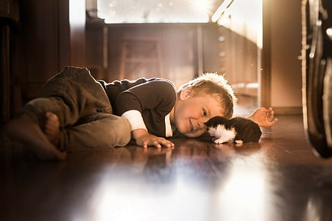 เด็กน้อยเด็กแมวสัตว์คน, วอลล์เปเปอร์ HD HD wallpaper