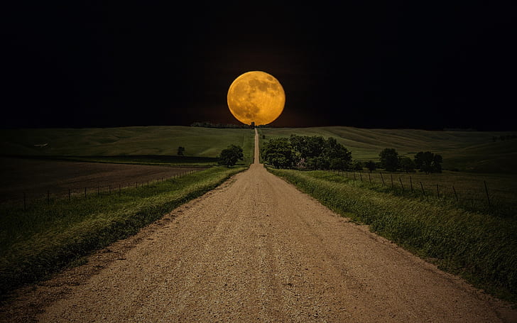 Bulan Purnama Kuning, bulan, bulan purnama, bulan kuning, malam, Wallpaper HD