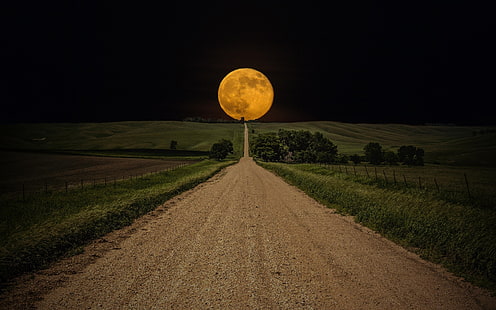 Bulan Purnama Kuning, bulan, bulan purnama, bulan kuning, malam, Wallpaper HD HD wallpaper