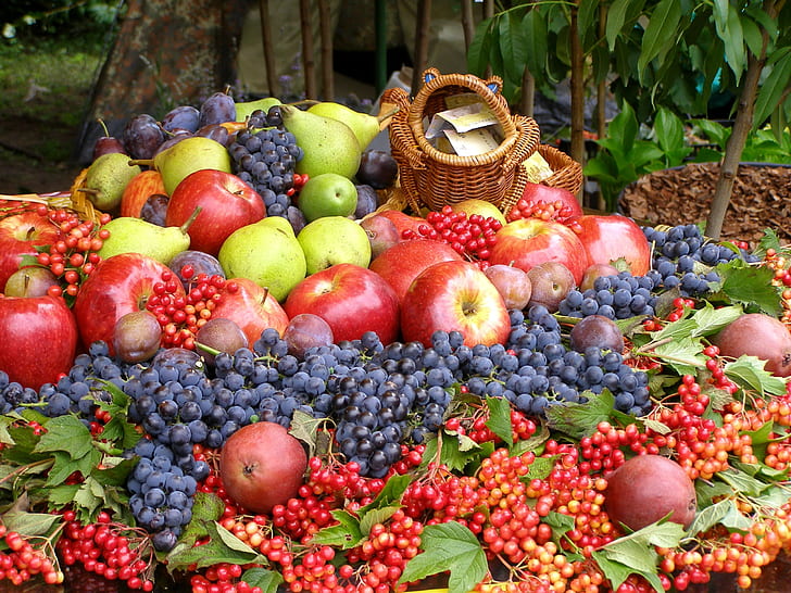 مجموعة متنوعة من الفاكهة ، متنوعة ، فواكه، خلفية HD