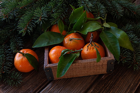 décoration, Nouvel An, Noël, bois, fruits, mandarines, mandarine, Joyeux, sapin, branches de sapin, mandarines, Fond d'écran HD HD wallpaper