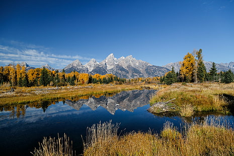 yellow leafed trees beside lake and snowy mountain under blue sky, Beaver Pond, Jan. 29, yellow, lake, snowy mountain, blue sky, Animals, Aspen, Autumn, Castor canadensis, Grand Teton National Park, Hardwoods, Jackson Hole, Mammals, Mountain, National Parks, North American Beaver, Plants, Pond, Reflection, Snake River, Trees, Water, Wyoming, United States, nature, landscape, scenics, forest, outdoors, tree, beauty In Nature, blue, sky, mountain Peak, HD wallpaper HD wallpaper