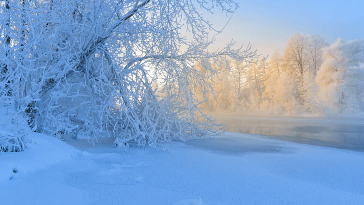 snö, is, frost, vintersäsong, vinterlandskap, vinter, flod, zing, träd, morgon, solljus, ryssland, grenar, snöigt landskap, landskap, HD tapet