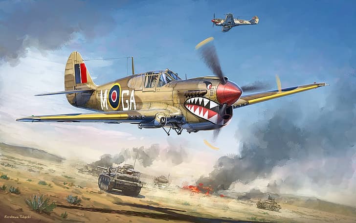 World War II, war, airplane, aircraft, Curtiss P-40 Warhawk, HD wallpaper