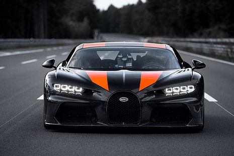 asfalt, pas, Bugatti, hypercar, Chiron, Super Sport 300+, Tapety HD HD wallpaper