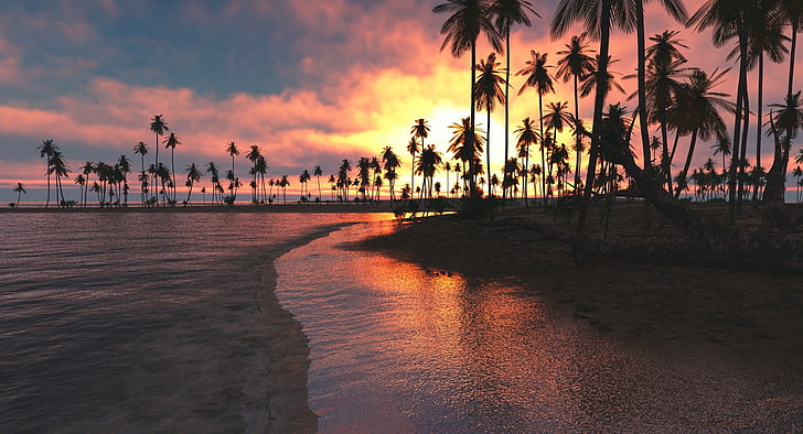 силует на кокосови палми, природа, пейзаж, тропически, плаж, залез, палми, море, облаци, небе, пясък, HD тапет