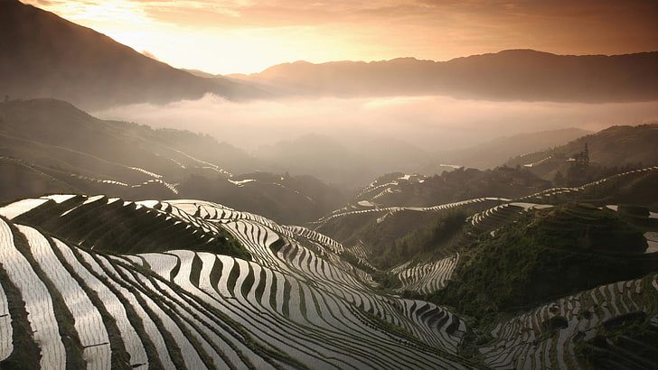 photographie aérienne de rizières en terrasses, rizières, montagnes, brouillard, Fond d'écran HD