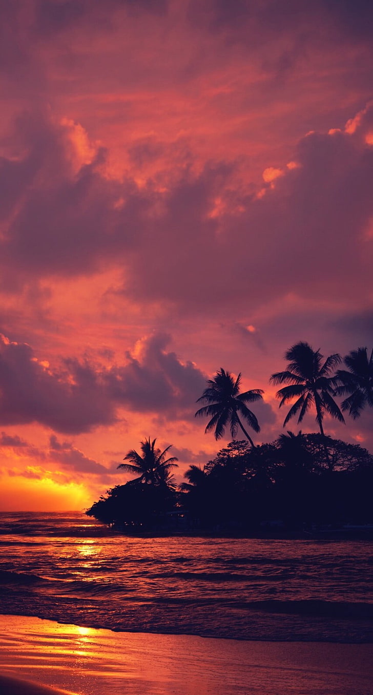 alberi di cocco, natura, paesaggio, acqua, nuvole, alberi, spiaggia, tramonto, visualizzazione verticale, Sfondo HD, sfondo telefono