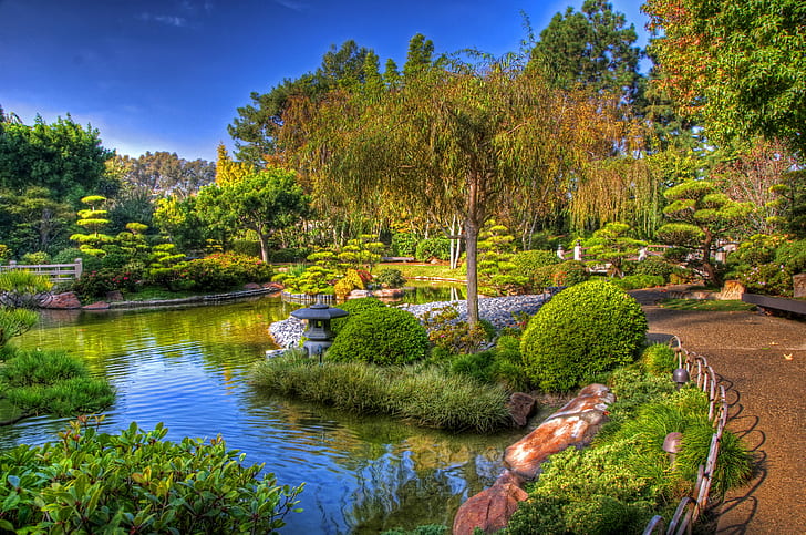 trees, pond, garden, track, USA, the bushes, California, beds, Earl Burns Miller Japanese, HD wallpaper