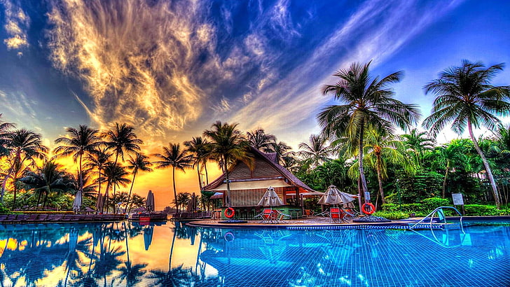 palm tree, beach, umbrellas, swimming pool, palms, summer, pool, holiday, HD wallpaper