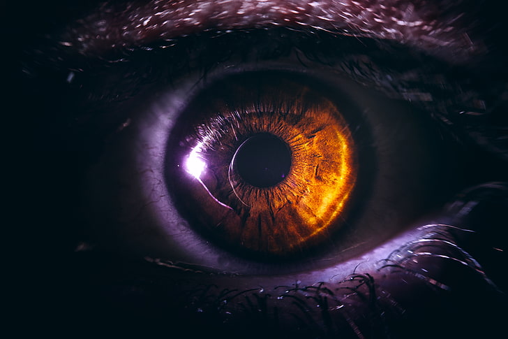 lente dell'occhio umano, occhio, pupilla, primo piano, marrone, ciglia, Sfondo HD