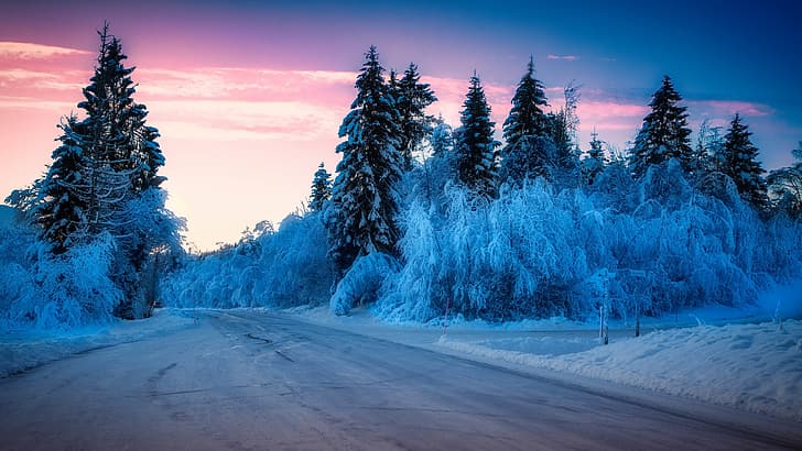 winter, outdoors, ice, cold, snow, road, purple sky, sunlight, HD wallpaper