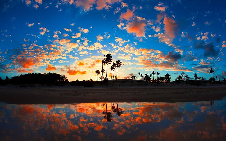 nature, landscape, beach, sea, palm trees, clouds, tropical, reflection, sand, HD wallpaper