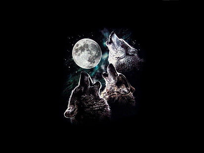 3 вълк луна виещ луна нощно небе звезди три трио вълци HD, животни, нощ, звезди, небе, луна, вълци, три, вой, трио, HD тапет HD wallpaper