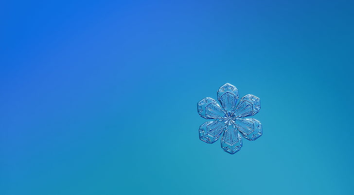 Cute Snowflake, Aero, Macro, Full, Blue, Beautiful, Winter, Light, Small, Stars, Background, High, Frozen, Lighting, Cold, Bright, Photography, Transparent, Crystal, Snow, Fractal, Structure, Outdoor, Snowflake, Beauty, Isolated, Closeup, Shape, Frost, Natural, Tiny, Clear, Real, Hexagon, Fine, unique, detail, Definition, Symmetry, Details, ze, fragility, intricate, depthoffield, resolution, fragile, magnified, microscope, HD wallpaper