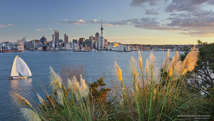 Stanley Bay, Auckland, Nuova Zelanda, Architettura, Sfondo HD