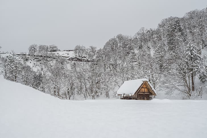 winter, snow, trees, landscape, house, hut, nature, beautiful, cottage, HD wallpaper