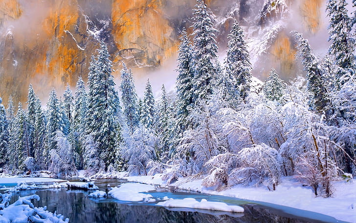 겨울, 요세미티 국립 공원, 강, 감기, 눈, 숲, 화이트, 나무, 얼음, 자연, 풍경, HD 배경 화면